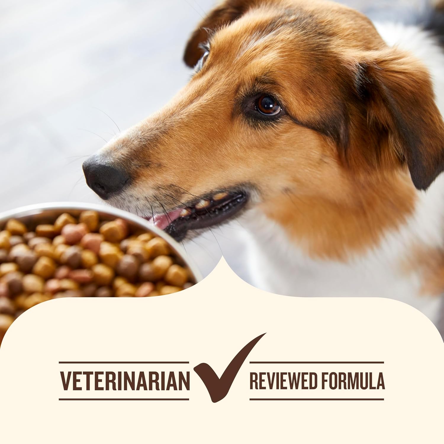 Nutrish Whole Health Blend Chunks in Gravy Variety Pack Wet Dog Food, 13 oz. Can, 12 Count (Rachael Ray) Chunks in Gravy Variety Pack 13 Ounce (Pack of 12)