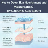 Hyaluronic Acid Serum Ampoules Pack (10pc) - Boosts Light Therapy Results - Anti Wrinkle and Anti Aging Serum - Moisturizing and Hydrating Facial Serum. Light therapy Hyaluronic Acid Serum