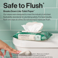 The Honest Company Flushable Wipes for Sensitive Skin | Fragrance Free, Hypoallergenic, 99% Water, Safe to Flush | pH Balanced Feminine Wipes | Tropical Leaves, 42 Count Tropical Leaves 42 Count (Pack of 1)