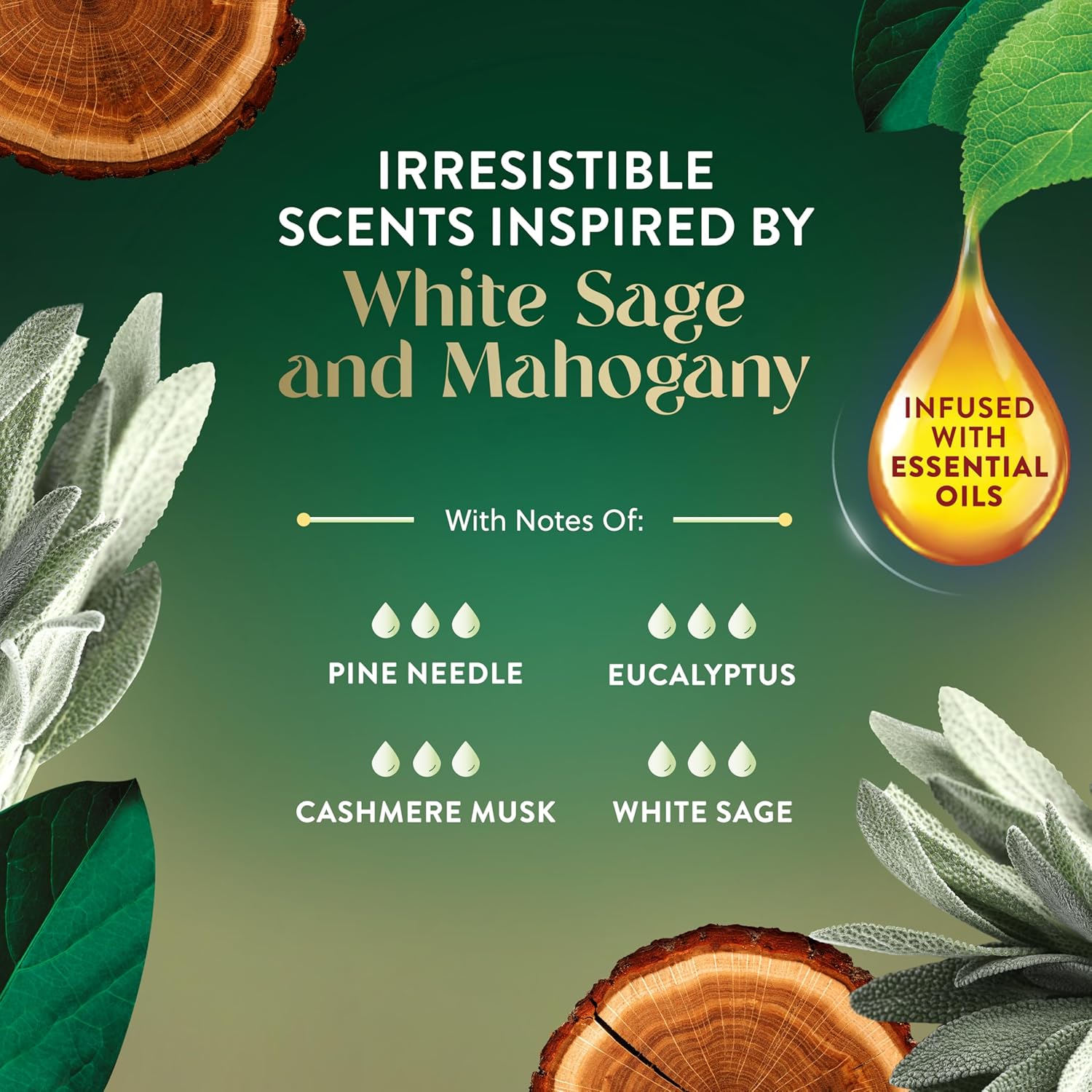 Air Wick Plug in Scented Oil Refill, 5ct, White Sage & Mahogany, Air Freshener, Essential Oils White Sage & Mahogany 0.68 Fl Oz (Pack of 5)