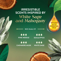 Air Wick Plug in Scented Oil Refill, 5ct, White Sage & Mahogany, Air Freshener, Essential Oils White Sage & Mahogany 0.68 Fl Oz (Pack of 5)