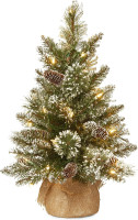 National Tree Company Pre-lit Artificial Mini Christmas Tree | Includes Small LED Lights, White Tipped, Glitter Branches Cones and Cloth Bag Base | Glittery Bristle Pine-2, 2 Foot, Green