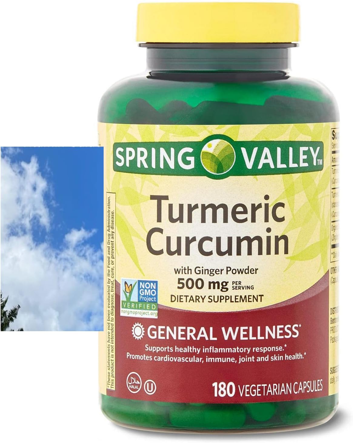 Spring Valley Turmeric Curcumin with Ginger Powder Dietary Supplement, 500 mg, 180 Count