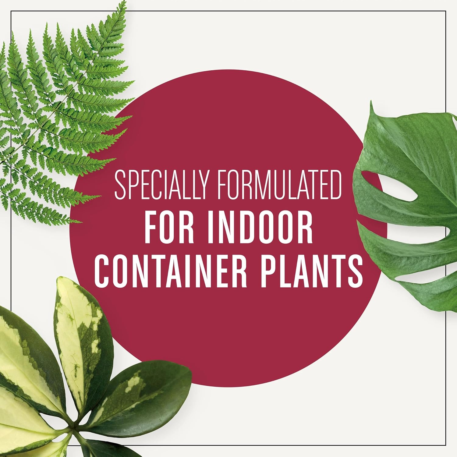 Miracle-Gro Houseplant Potting Mix - Fertilized Indoor Plant Soil for Containers, Designed to be Less Prone to Gnats, 4 qt. 1 Pack Houseplant