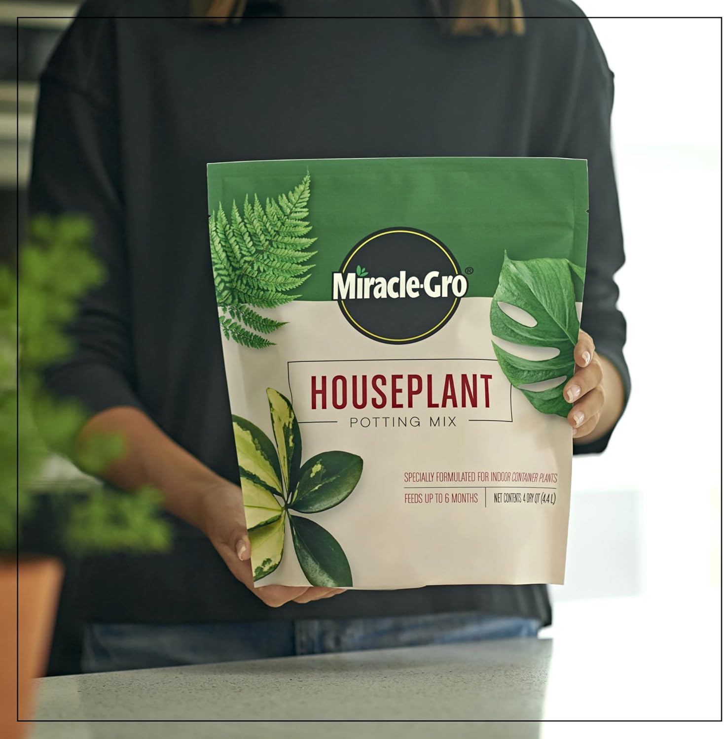 Miracle-Gro Houseplant Potting Mix - Fertilized Indoor Plant Soil for Containers, Designed to be Less Prone to Gnats, 4 qt. 1 Pack Houseplant