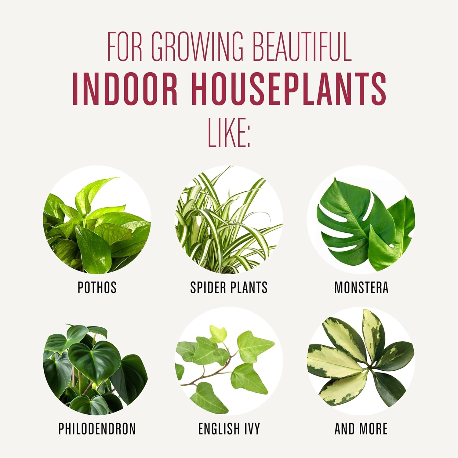 Miracle-Gro Houseplant Potting Mix - Fertilized Indoor Plant Soil for Containers, Designed to be Less Prone to Gnats, 4 qt. 1 Pack Houseplant