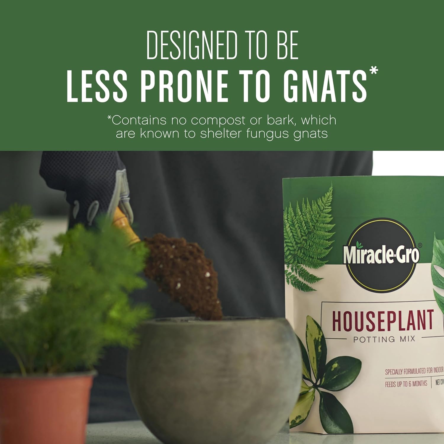 Miracle-Gro Houseplant Potting Mix - Fertilized Indoor Plant Soil for Containers, Designed to be Less Prone to Gnats, 4 qt. 1 Pack Houseplant