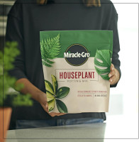 Miracle-Gro Houseplant Potting Mix - Fertilized Indoor Plant Soil for Containers, Designed to be Less Prone to Gnats, 4 qt. 1 Pack Houseplant