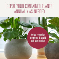 Miracle-Gro Houseplant Potting Mix - Fertilized Indoor Plant Soil for Containers, Designed to be Less Prone to Gnats, 4 qt. 1 Pack Houseplant