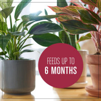 Miracle-Gro Houseplant Potting Mix - Fertilized Indoor Plant Soil for Containers, Designed to be Less Prone to Gnats, 4 qt. 1 Pack Houseplant