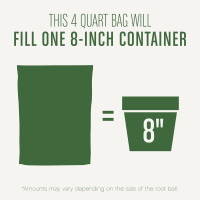 Miracle-Gro Houseplant Potting Mix - Fertilized Indoor Plant Soil for Containers, Designed to be Less Prone to Gnats, 4 qt. 1 Pack Houseplant