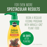 Miracle-Gro Houseplant Potting Mix - Fertilized Indoor Plant Soil for Containers, Designed to be Less Prone to Gnats, 4 qt. 1 Pack Houseplant