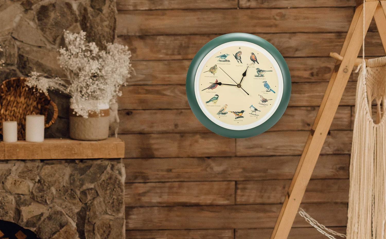 Mark Feldstein and Associates Original Singing Bird Wall Clock, 13 Inch (Green)