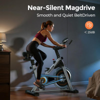 YOSUDA Exercise Bike, Brake Pad Stationary Bike for Home with Exclusive App, Magnetic Indoor Cycling Bike with 300 lb Weight Capacity, Low Noise, Tablet Holder and Fitness Courses for Weight Loss Black Classical Model