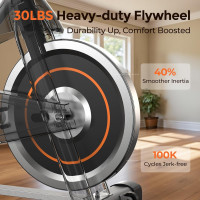 YOSUDA Exercise Bike, Brake Pad Stationary Bike for Home with Exclusive App, Magnetic Indoor Cycling Bike with 300 lb Weight Capacity, Low Noise, Tablet Holder and Fitness Courses for Weight Loss Black Classical Model