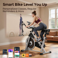 YOSUDA Exercise Bike, Brake Pad Stationary Bike for Home with Exclusive App, Magnetic Indoor Cycling Bike with 300 lb Weight Capacity, Low Noise, Tablet Holder and Fitness Courses for Weight Loss Black Classical Model