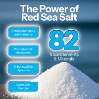 H2Ocean Body Piercing Foam Soap - Organic Sea Salt Aftercare with Aloe Vera, Alcohol-Free, Unscented, Vegan & Gentle Cleansing Tattoo and Piercing Soap for Healing & Moisturizing - 1.7oz 1.7 Fl Oz (Pack of 1)