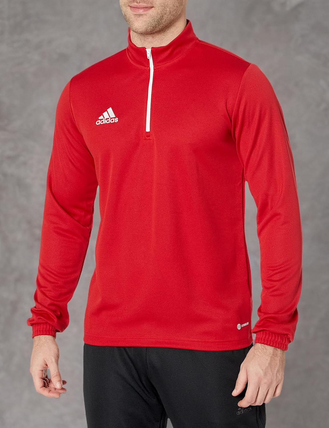 adidas Men's Entrada 22 Training Top Small Team Power Red