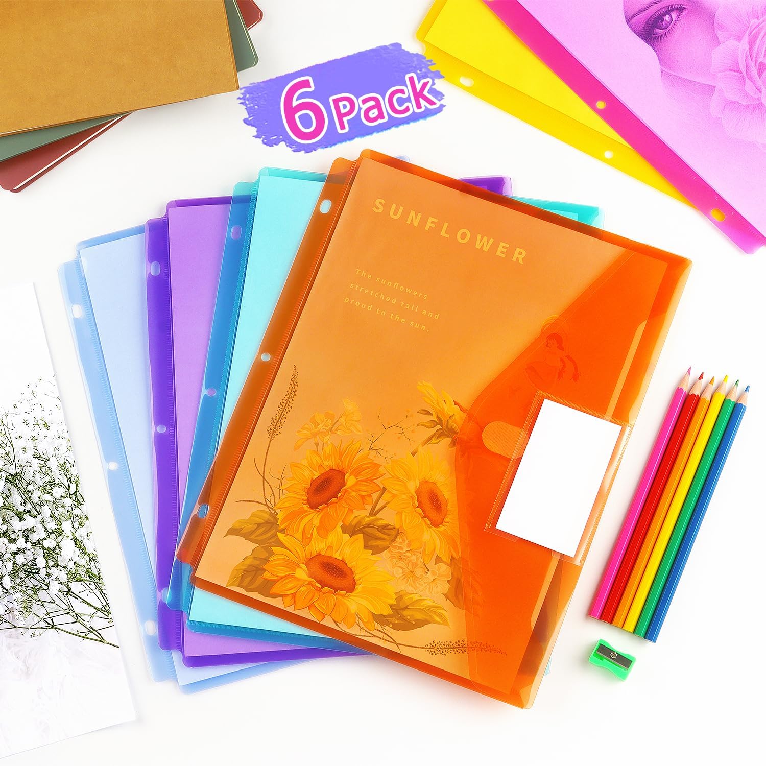 Tamaki 6 Pack Binder Pocket, Plastic Folders with Label, Binder Organizer, Binder Dividers with Pockets, Letter Size, Assorted Colors 6 Pack-multicolor
