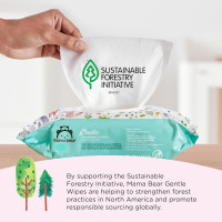 Amazon Brand - Mama Bear Gentle Fragrance Free Baby Wipes, Hypoallergenic, Sensitive Skin, Unscented, 800 Count (8 Packs of 100) 100 Count (Pack of 8)