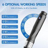 Berber's Treat Professional Wireless Microneedling Pen - with 22 Replacement Cartridges, Adjustable Micro Needling Pen for Home Use, 4pcs 16pin+4pcs 26pin+6pcs 36pin+6pcs 42pin+2pcs Nano.(Gray)