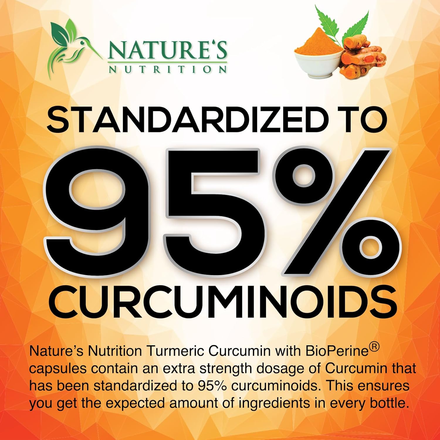 Turmeric Curcumin Supplement 1950mg - 95% Curcuminoids with Organic Turmeric & BioPerine Black Pepper Extract for Best Absorption, Nature's Vegan Joint Support, Non-GMO, Bottled in USA - 240 Capsules 240 Count (Pack of 1)