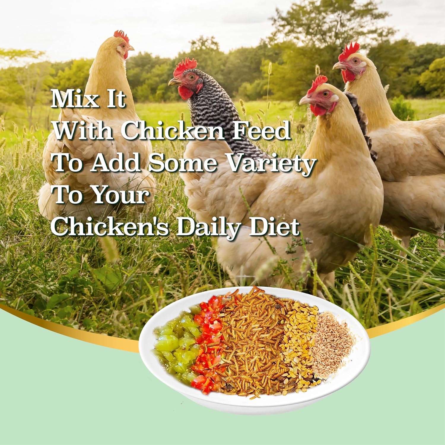 5LB Dried Black Soldier Fly Larvae, More Calcium Than Dried Mealworms, High Protein Chicken Feed,Duck Food, BSFL, Duck Treats 5 Pound (Pack of 1)