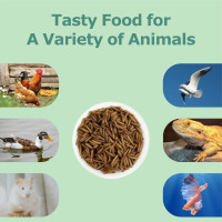 5LB Dried Black Soldier Fly Larvae, More Calcium Than Dried Mealworms, High Protein Chicken Feed,Duck Food, BSFL, Duck Treats 5 Pound (Pack of 1)