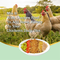 5LB Dried Black Soldier Fly Larvae, More Calcium Than Dried Mealworms, High Protein Chicken Feed,Duck Food, BSFL, Duck Treats 5 Pound (Pack of 1)