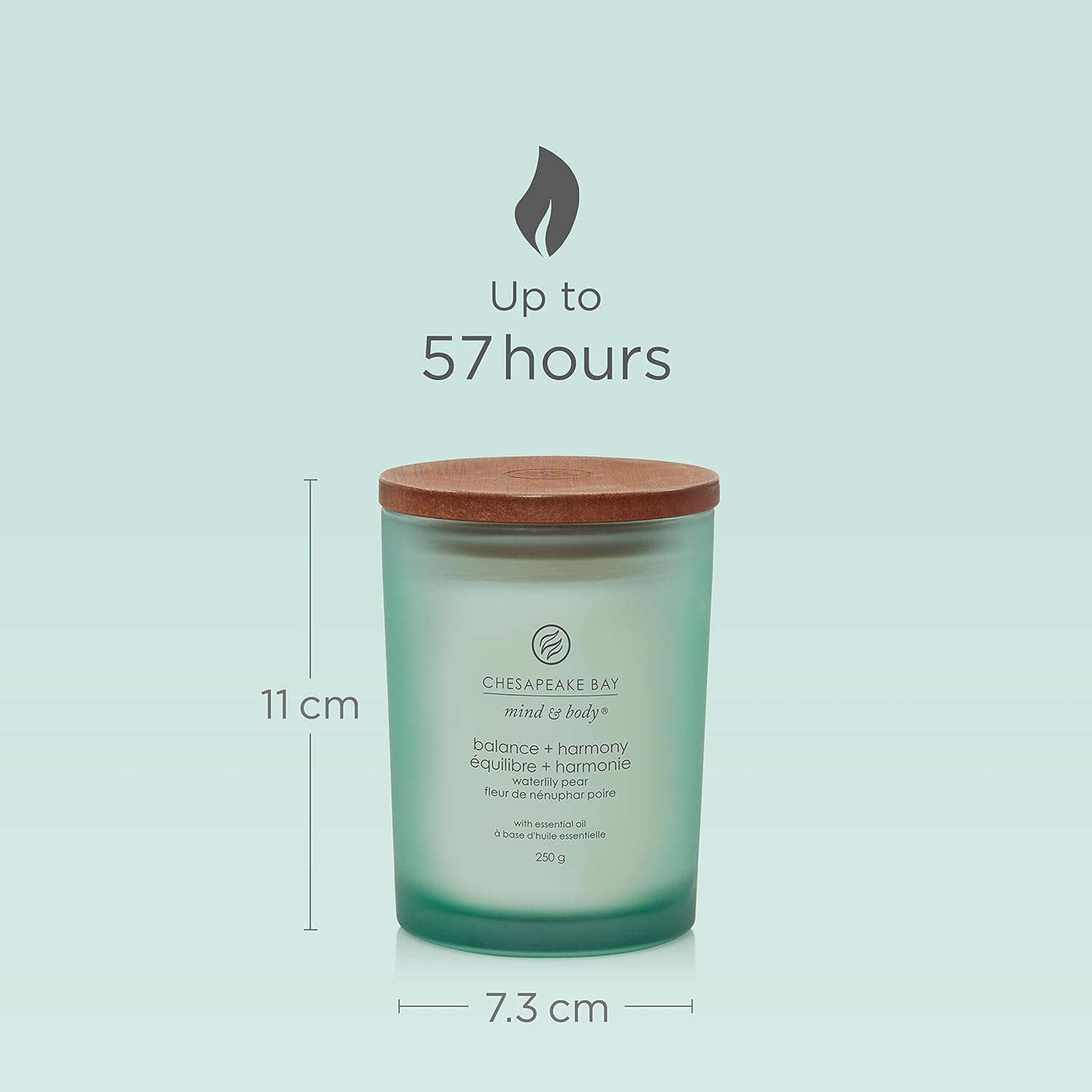 Chesapeake Bay Scented Candle | Balance + Harmony (Water Lily Pear) Medium Aromatherapy Tumbler Candle | Burn Time: Up to 57 Hours | Mind & Body Collection | Gifts for Women MEDIUM Balance + Harmony