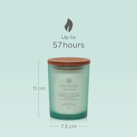 Chesapeake Bay Scented Candle | Balance + Harmony (Water Lily Pear) Medium Aromatherapy Tumbler Candle | Burn Time: Up to 57 Hours | Mind & Body Collection | Gifts for Women MEDIUM Balance + Harmony