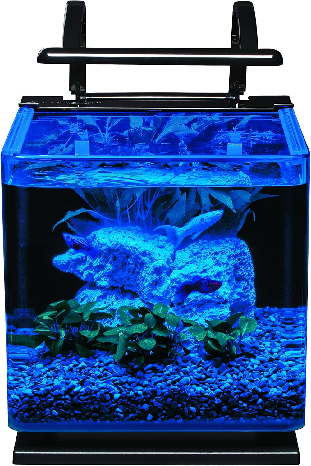 Marineland Contour 3 Aquarium Kit 3 Gallons, Rounded Glass Corners, Includes LED Lighting 3-Gallon