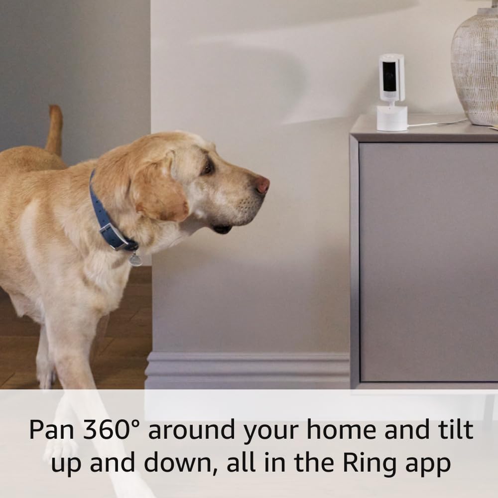 Ring Pan-Tilt Indoor Cam | See all around your home or business with 360° pan coverage, HD video, plus Two-Way Talk (2024 release) | White White 1 Camera Device Only