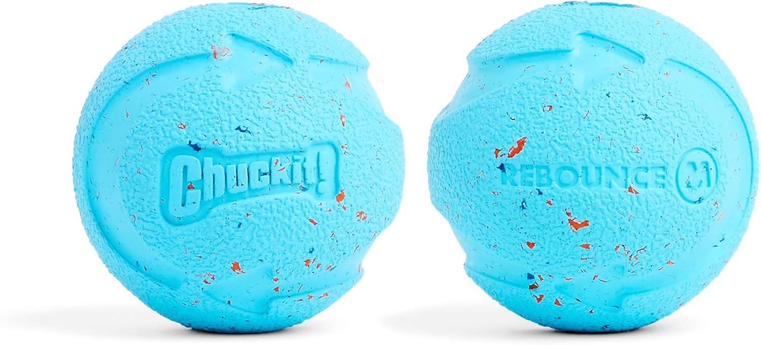 Chuckit! Rebounce Ball Dog Toy - Bouncy Fetch Balls for Dogs 20-60 lbs - Made from Durable Rubber - Outdoor Pet Toys - Size Medium - 2.5-inch Diameter - Pack of 2 - Blue