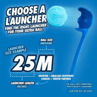 Chuckit! Rebounce Ball Dog Toy - Bouncy Fetch Balls for Dogs 20-60 lbs - Made from Durable Rubber - Outdoor Pet Toys - Size Medium - 2.5-inch Diameter - Pack of 2 - Blue