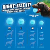 Chuckit! Rebounce Ball Dog Toy - Bouncy Fetch Balls for Dogs 20-60 lbs - Made from Durable Rubber - Outdoor Pet Toys - Size Medium - 2.5-inch Diameter - Pack of 2 - Blue