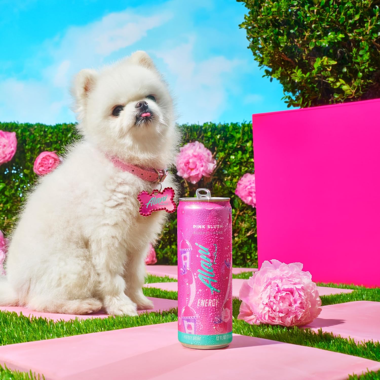 Alani Nu PINK SLUSH, Sugar Free, Low Calorie Energy Drinks, 200mg Caffeine, Biotin, B Vitamins, Zero Sugar, 10 Calories, 12 Fl Oz Cans, 12 Pack Pink Slush 12 Fl Oz (Pack of 12)