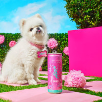 Alani Nu PINK SLUSH, Sugar Free, Low Calorie Energy Drinks, 200mg Caffeine, Biotin, B Vitamins, Zero Sugar, 10 Calories, 12 Fl Oz Cans, 12 Pack Pink Slush 12 Fl Oz (Pack of 12)