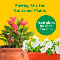 Miracle-Gro Potting Mix, For Container Plants, Flowers, Vegetables, Annuals, Perennials, Shrubs, Feeds for up to 6 Months, 16. qt., 2-Pack 0.53 cu. ft. 16 QT