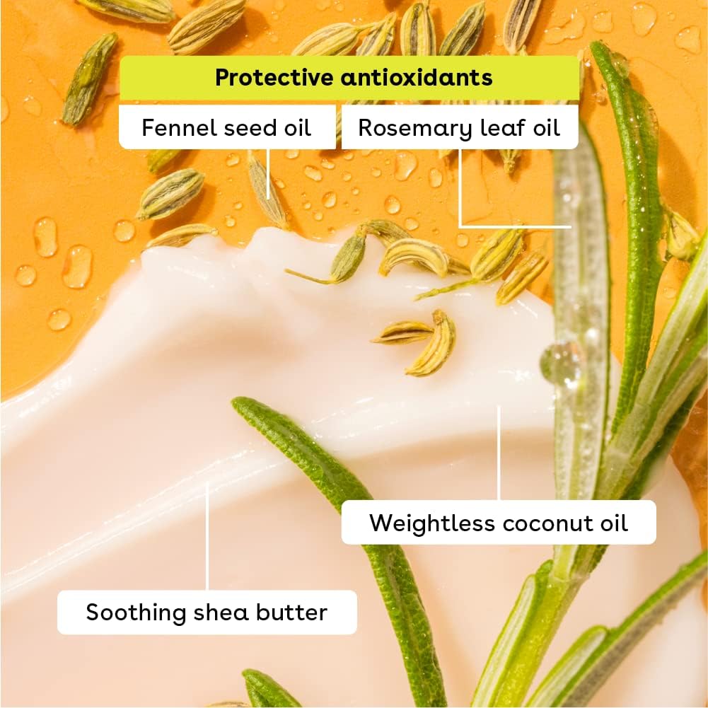 eos 100% Natural & Organic Lip Balm Sticks - Sweet Mint, All Natural Lip Balm, All-Day Moisture, Dermatologist Recommended, 0.14 oz, 2-Pack Sweet Mint 0.14 Ounce (Pack of 2)