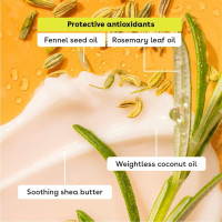 eos 100% Natural & Organic Lip Balm Sticks - Sweet Mint, All Natural Lip Balm, All-Day Moisture, Dermatologist Recommended, 0.14 oz, 2-Pack Sweet Mint 0.14 Ounce (Pack of 2)