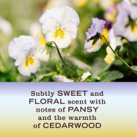 MRS. MEYER'S CLEAN DAY Hand Soap, Made with Essential Oils, Biodegradable Formula, Compassion Flower, 12.5 fl. oz - Pack Of 3 12.5 Fl Oz (Pack of 3) Compassion Flower