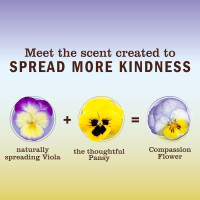 MRS. MEYER'S CLEAN DAY Hand Soap, Made with Essential Oils, Biodegradable Formula, Compassion Flower, 12.5 fl. oz - Pack Of 3 12.5 Fl Oz (Pack of 3) Compassion Flower