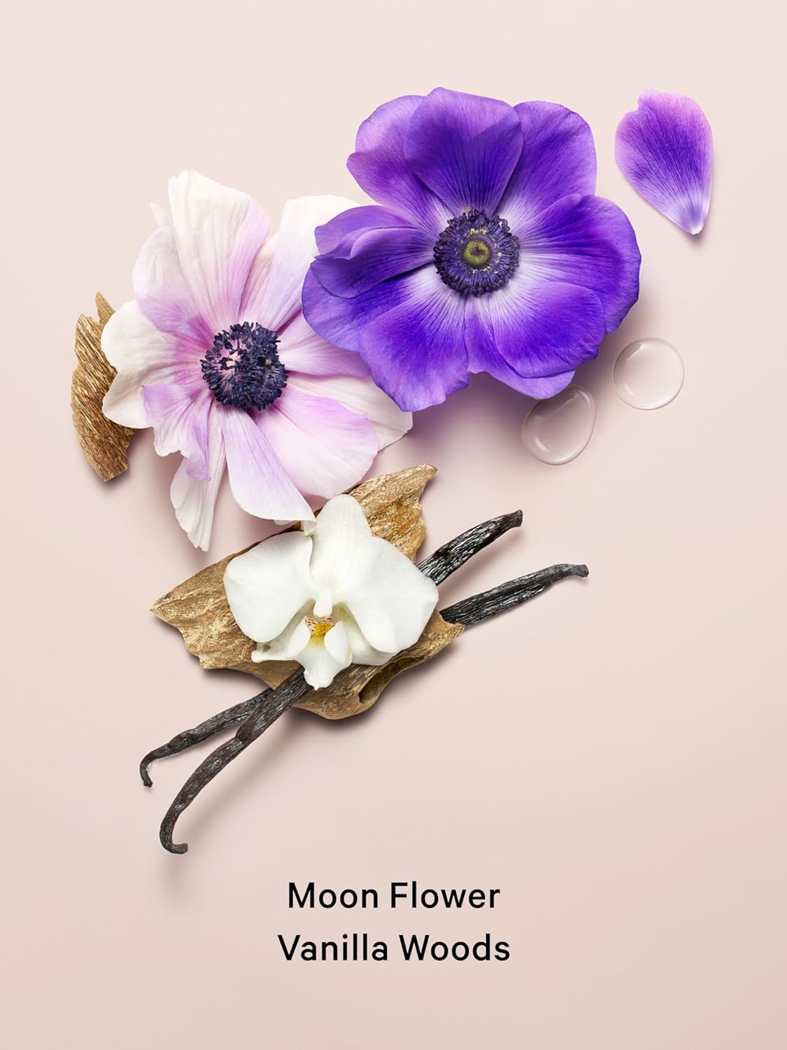 Victoria's Secret Body Fragrance Mist, Midnight Blooms - 8.4 fl oz