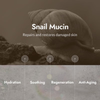 MIZON Snail Repair Intensive Toner Snail Mucin Hyaluronic Acid Adenosine Centella Asiatica Moisturizer Fine Line Treatment Safe Formula Korean Skincare (3.38 fl oz)