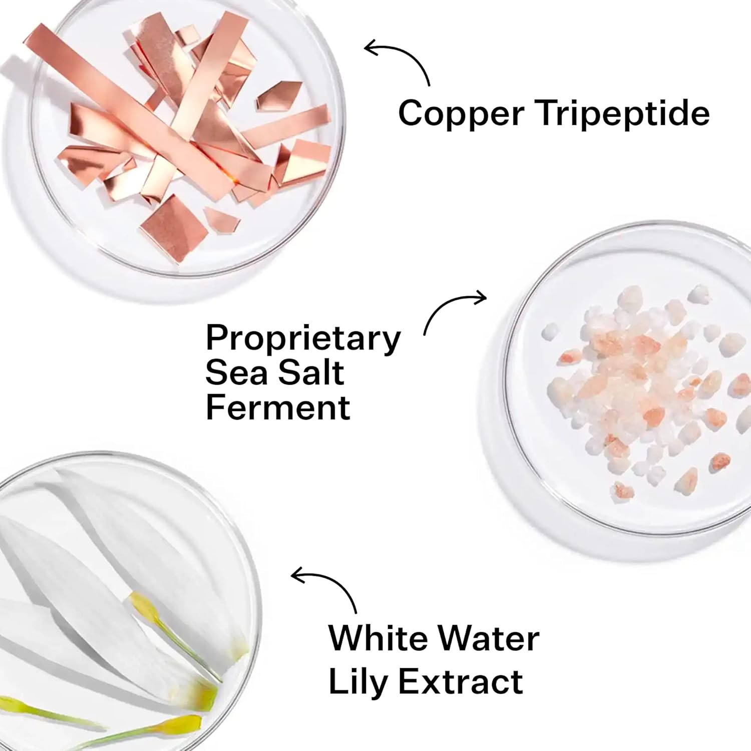 StriVectin SD Advanced Plus Intensive Moisturizer for Wrinkles and Stretchmarks, For Face and Body, Collagen Boosting with Peptides and Hyaluronic Acid 2 FL OZ (Pack of 1)