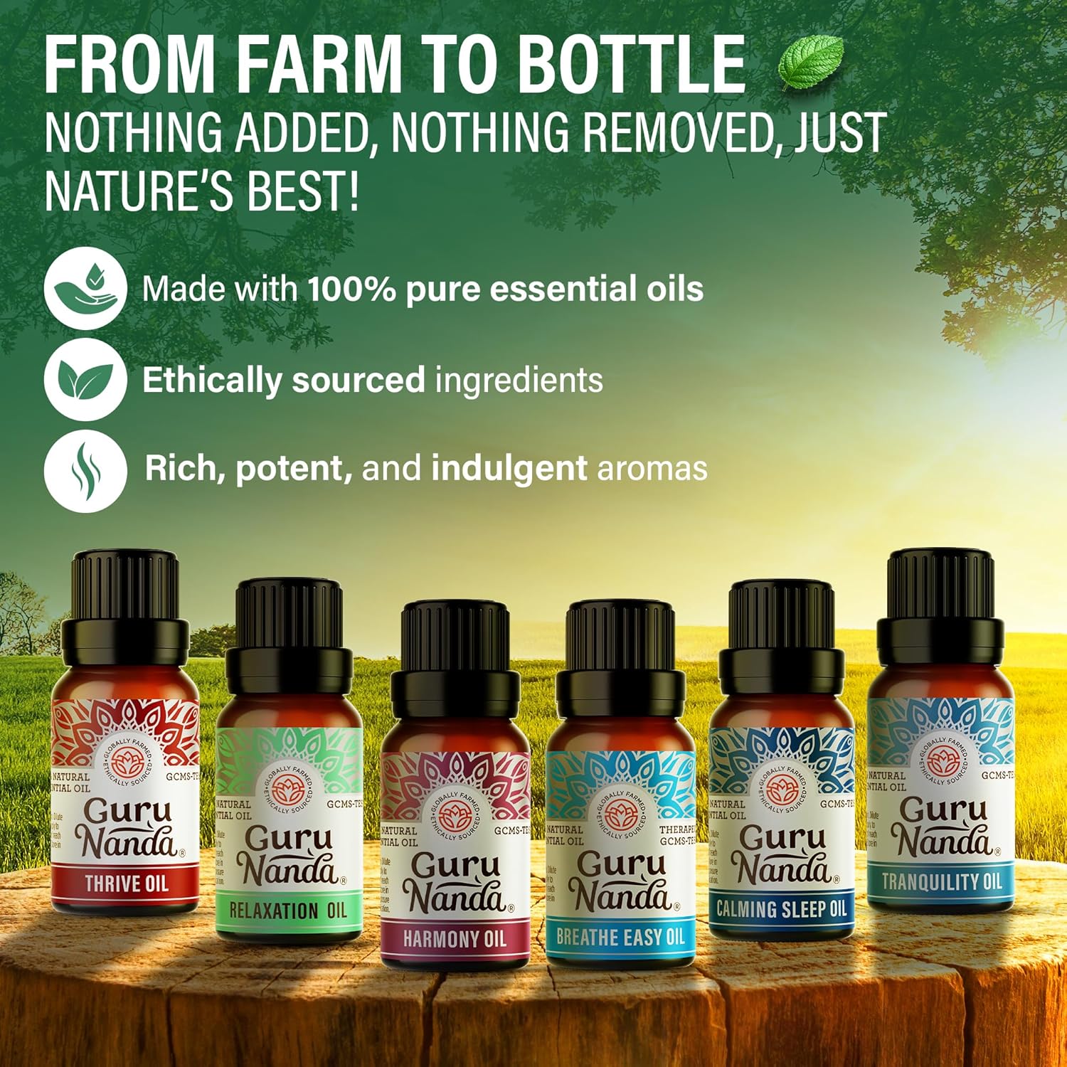 GuruNanda Essential Oil Blends (Set of 6) - Natural Essential Oil Set, Aromatherapy Oil Blends for Diffusers - Breathe Easy, Tranquility, Harmony, Calming Sleep, Relaxation & Thrive Blends EO - 6 Pack Pack of 6 - Blend