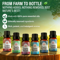GuruNanda Essential Oil Blends (Set of 6) - Natural Essential Oil Set, Aromatherapy Oil Blends for Diffusers - Breathe Easy, Tranquility, Harmony, Calming Sleep, Relaxation & Thrive Blends EO - 6 Pack Pack of 6 - Blend
