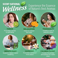 GuruNanda Essential Oil Blends (Set of 6) - Natural Essential Oil Set, Aromatherapy Oil Blends for Diffusers - Breathe Easy, Tranquility, Harmony, Calming Sleep, Relaxation & Thrive Blends EO - 6 Pack Set of 6