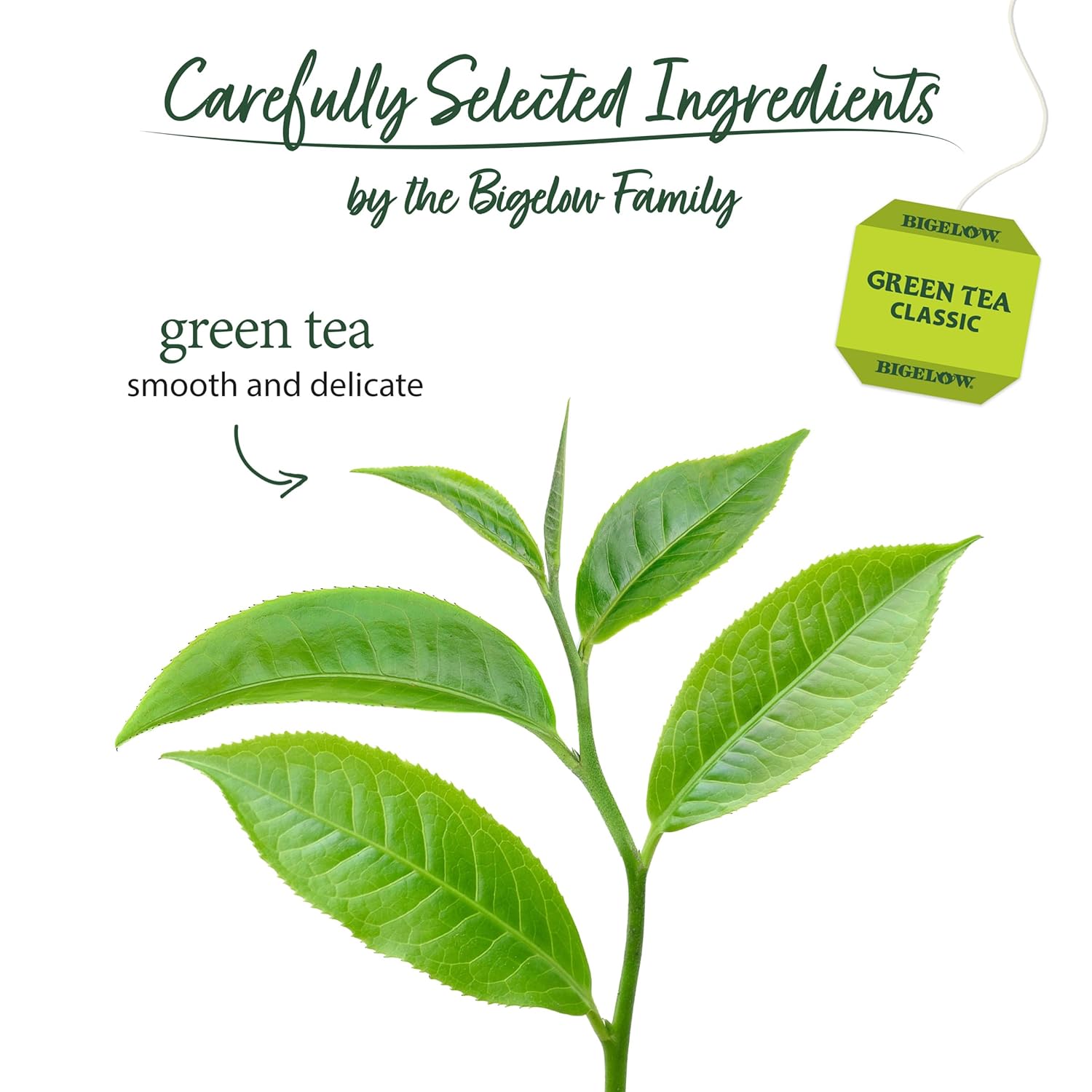 Bigelow Tea Classic Green Tea, Caffeinated Tea, 20 Count Box (Pack of 6), 120 Total Tea Bags Green Tea 20 Count (Pack of 6)